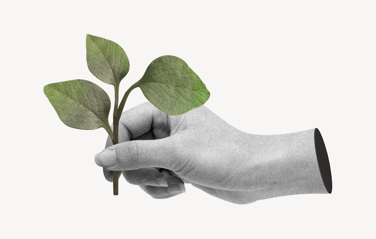 Nonprofit Marketing Strategies for 2025–2026: Email, Video, and Microsites That Drive Giving